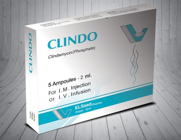 CLINDO (Amp)